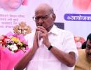 Can't ignore Savarkar's sacrifice, but...: Pawar