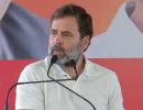 Rahul leads Cong caste census pitch, against 50% cap