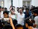 Hero's welcome for Rahul, says truth always wins