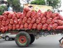 'Onion price rise scares this govt'