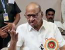 'MLAs don't mean...': Pawar denies split in NCP again