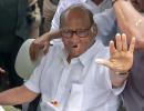 Did he know about nephew's rebellion? Pawar says...