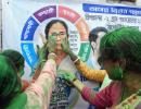 TMC sweeps Bengal polls with more than half the seats