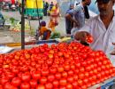 Tomato Prices Increased By 1315%!