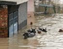 Rain multiplies Delhi's woes, roads still inundated