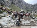 Amarnath Yatra: Drinks, fast food among items banned