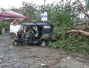 Biparjoy hits Guj, brings heavy rains, uproots trees