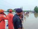 5 lakh people, 3.5 lakh animals hit in Assam floods