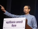 'If we don't unite, ...', Uddhav urges MVA allies