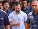 'Respect for...': US says watching Rahul's case