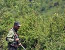 'Op Trinetra' underway in J-K to flush out terrorists