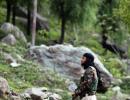 Rajouri-Poonch J-K terror's new epicentre: Experts