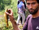 What's Fishing In Kashmir?