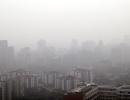 Delhi chokes on thick smog as AQI remains severe