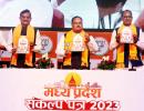 BJP MP manifesto: Higher MSP, houses, LPG @ Rs 450