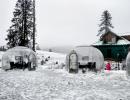 When Nature Snow Coated Kashmir