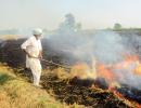 Punjab's Water Woes And Stubble Burning