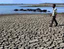 Most of Karnataka to be declared drought-hit