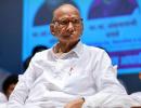 No need for MVA CM face: Pawar counters Uddhav