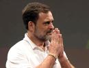 Rahul to cut short US trip in view of JK, H'yana polls