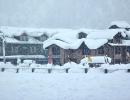 Snow Paints Kashmir White