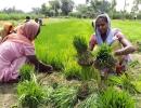 Budget: Rs 3 lakh crore for schemes benefitting women