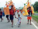 Mosques, mazar covered on Haridwar kanwar route