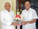 What Sharad Pawar said on reaching out to TDP, JD-U