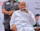 Ahead of polls, Pawar faction moves SC over symbols