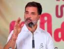 Wayanad or Raebareli?: Rahul says both 'will be happy'