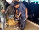 41 airports in India get hoax bomb threat emails