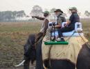 PIX: Modi takes elephant, jeep safari in Kaziranga