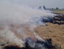 Stubble burning: SC raps Punjab, Haryana govts