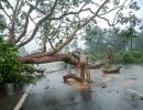 Cyclone Dana: Crops on 1.75L acre damaged in Odisha