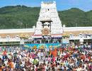 Suits BJP to allow...: Cong on Tirupati laddu row