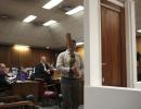 Pistorius smashed toilet door with bat, expert says