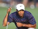 Tiger to make return at Memorial, says report