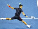 Brilliant Djokovic, Ferrer through to US Open semis