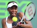 Venus to make Hopman Cup debut with Isner