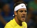 Del Potro to face Isner in Washington final