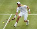 Hewitt too slick for Dimitrov on grass