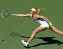 Indian Wells: Sharapova, Azarenka storm into quarters