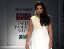 Sensational 2014 for Sania; Paes, Bopanna, Somdev fall short