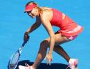 TEMPTING! Sharapova-Bouchard showdown at Australian Open