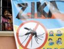 15 Zika virus cases so far in Kerala