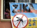 Why Zika virus holds no threat to Rio Olympics