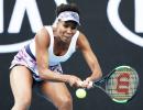 Positive Venus not focussing on 'gorilla' comment row