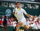 Wimbledon PHOTOS: Djokovic, Del Potro, Kerber and Raonic advance