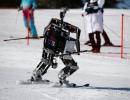 Winter Olympics sidelights: Robots take to the slopes on sidelines of Games