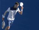 Pressure will determine whether Djokovic is back: Wilander